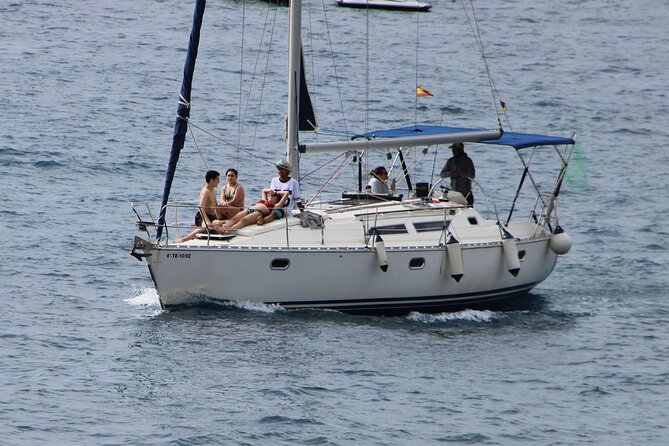Whale & Dolphin Watching Boat Trip in Tenerife On a Sailing Boat (3 Hr) - Knowledgeable Skipper with Local Expertise