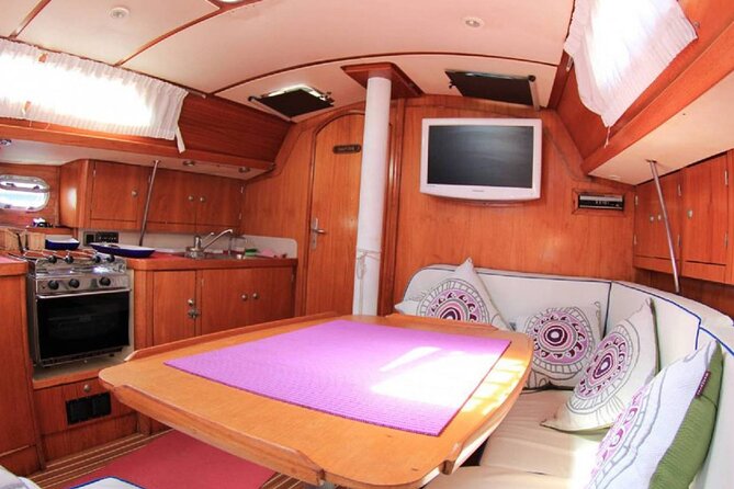 Whale & Dolphin Watching Boat Trip in Tenerife On a Sailing Boat (3 Hr) - Whale and Dolphin Sightings in Tenerife