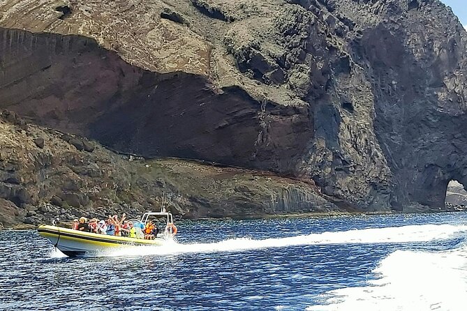 Whale & Dolphin Watching in Madeira - Cancellation Policy and Flexibility