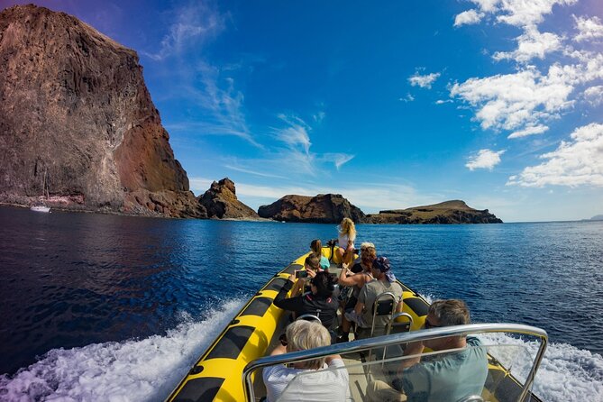 Whale & Dolphin Watching in Madeira - Why This Tour Stands Out in Madeira