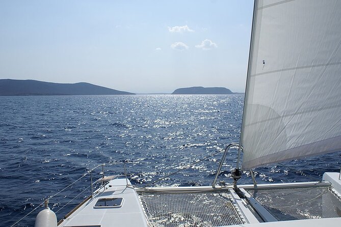 Whale & Dolphin Watching in Tenerife (Puerto Colon) On a Large Catamaran - Expert Insights and Marine Wildlife Spotting