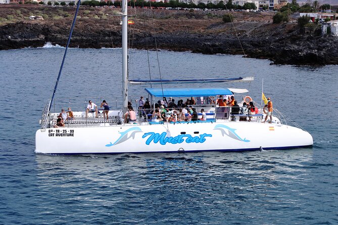 Whale & Dolphin Watching With Mustcat Virgin Coast Trip On a Large Catamaran - What It’s Like on the Catamaran