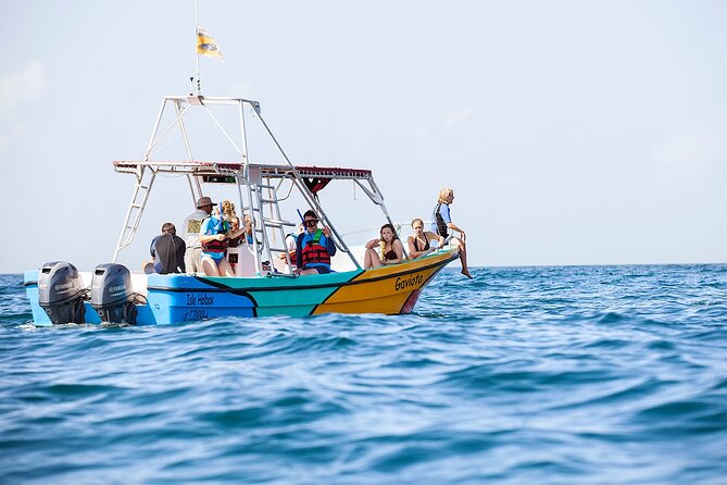 Whale Shark and Snorkeling Adventure from Isla Holbox - Practical Details: Meeting Point, Weather, and What to Bring