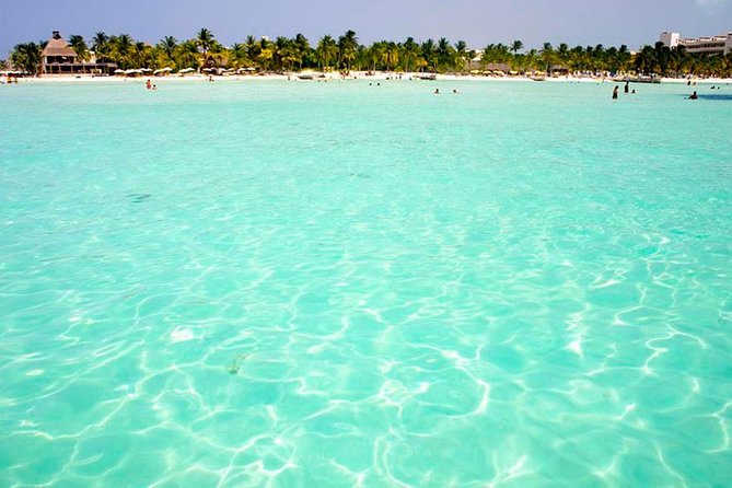 Whale Shark Encounter Experience in Cancun (Snack Lunch included) - Enjoy a Delicious Mexican Ceviche Lunch and Relax at Playa Norte