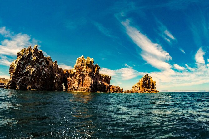 Whale Shark & Sea Lion Snorkeling Picnic at Espiritu Santo Island - All-Inclusive Amenities and Equipment