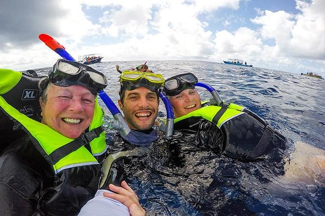 Whale Shark Tour from Cancun, Playa del Carmen, Tulum and Riviera Maya - From the Meeting Point to the Open Sea: Logistics and Organization