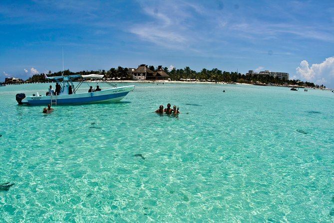Whale Shark Tour from Cancun, Playa del Carmen, Tulum and Riviera Maya - The Food and Photos: Culinary Highlights and Keepsakes