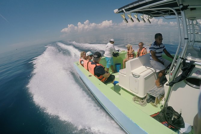 Whale Shark Tour from Cancun, Playa del Carmen, Tulum and Riviera Maya - Who Will Enjoy This Tour?