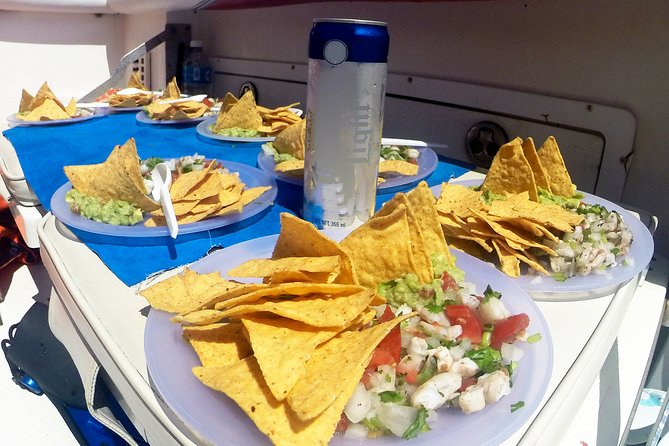 Whale Shark Tour from Cancun, Playa del Carmen, Tulum and Riviera Maya - Final Thoughts on the Whale Shark Experience from Cancun and Riviera Maya