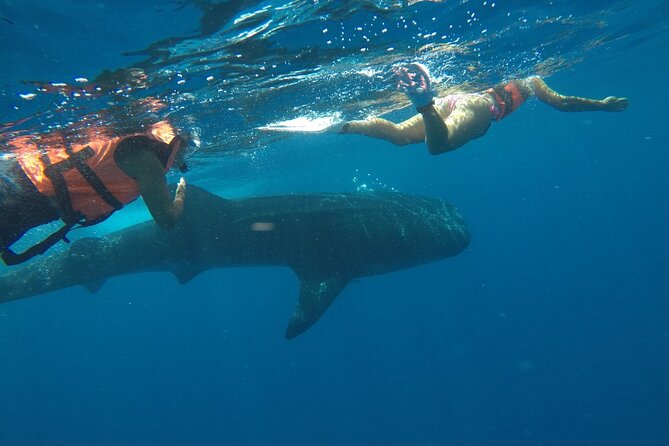 Whale Shark Tour from Holbox Island - Refreshments and Food on the Water