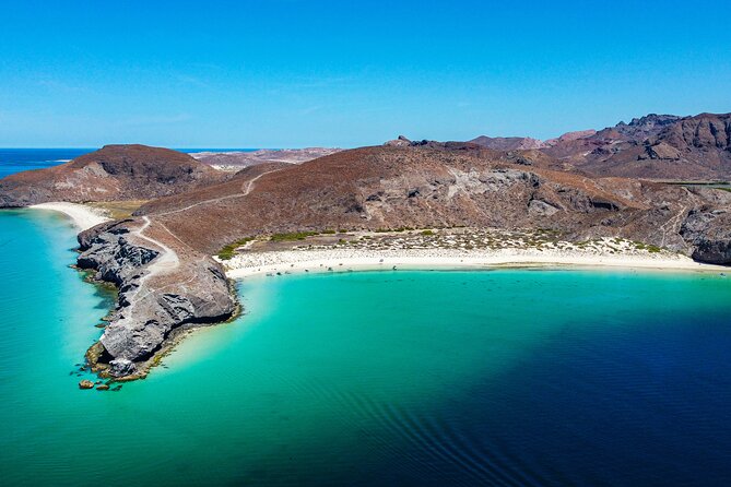 Whale sharks and sea lions snorkeling plus Balandra beach lunch - Discover the Unique Snorkeling Adventure in La Paz