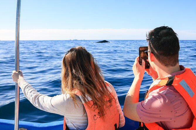 Whale Tour c/ Certified Guide, Photos & Hydrophone - Final Thoughts on the Cabo Whale Tour with Certified Guide
