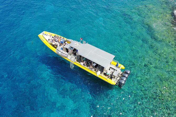 Whale Watch Adventure Aboard Maui's Only Luxury Super Raft - Weather Considerations and Booking Flexibility