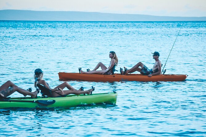 Whale Watch and Scenic Tour from Kayak - The Guide’s Role and Experience