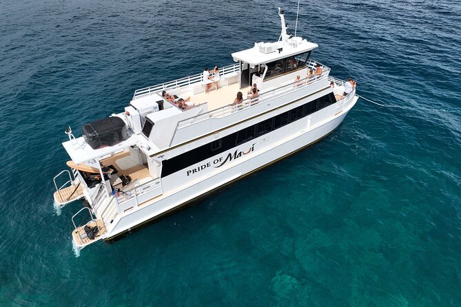 Whale Watch and Turtles Snorkel - Starting Point at Maalaea Harbor: Easy Access and Check-In