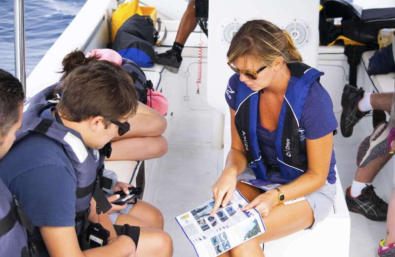 Whale Watch Cabo: Zodiac Whale Adventure - FREE Photos - Departing from Plaza Bonita in Cabo San Lucas