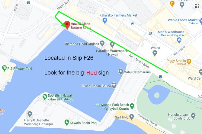 Whale Watch, Dolphins, Turtles and Sightseeing Cruise - Practical Details: Food, Beverages, and Accessibility