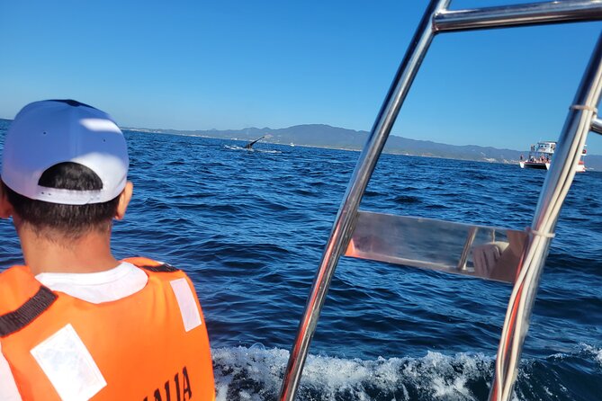 Whale watching 3 hours in Puerto Vallarta - Language and Communication on Board