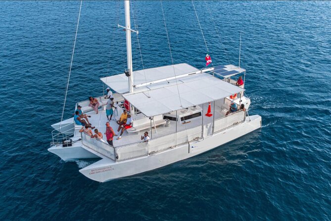 Whale Watching a Majestic Cabo Experience - Accessibility and Group Size