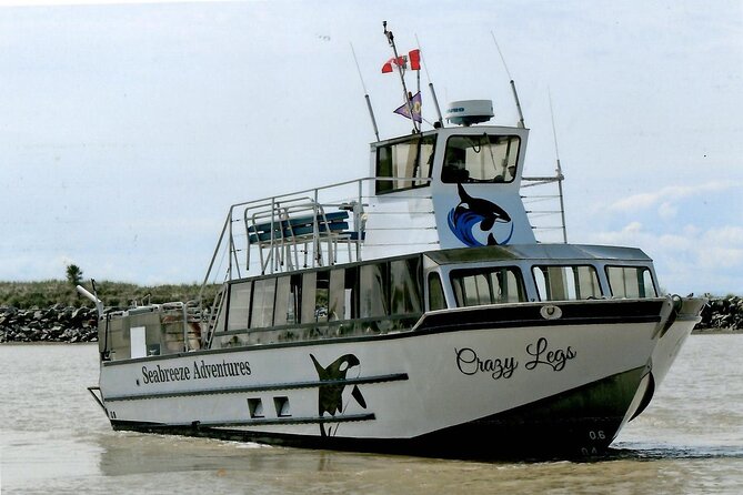 Whale Watching Adventure from Vancouver BC - Wildlife Encounters: What You Might See