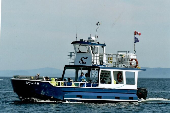 Whale Watching Adventure from Vancouver BC - Customer Satisfaction and Notable Reviews