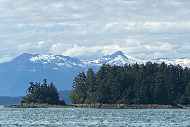 Whale Watching Adventure in Juneau - Wildlife Encounters: Whales, Seals, Eagles, and Bears