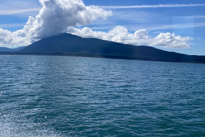 Whale Watching Adventure in Juneau - What Makes This Tour Stand Out in Juneau