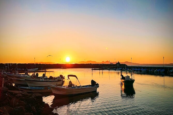 Whale Watching Adventure in Loretos Sea of Cortez - The Scenic Coast and Island Views
