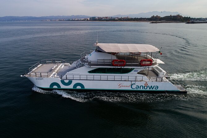 Whale Watching Adventure In Puerto Vallarta - The Departure Point and Meeting Details in Puerto Vallarta