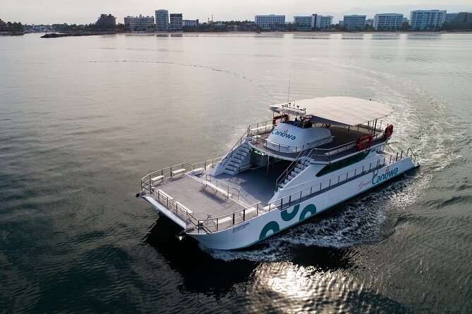 Whale Watching Adventure In Puerto Vallarta - Practical Tips for a Memorable Trip