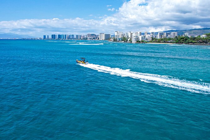 Whale Watching Adventure -Speed Boat & Small Group - Weather Considerations and Rescheduling Policies