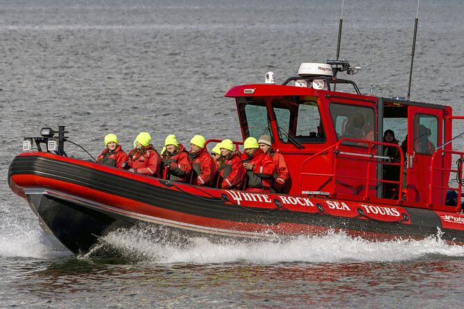 Whale Watching Adventure Vancouver - The Gulf Islands National Park Reserve as a Prime Wildlife Habitat