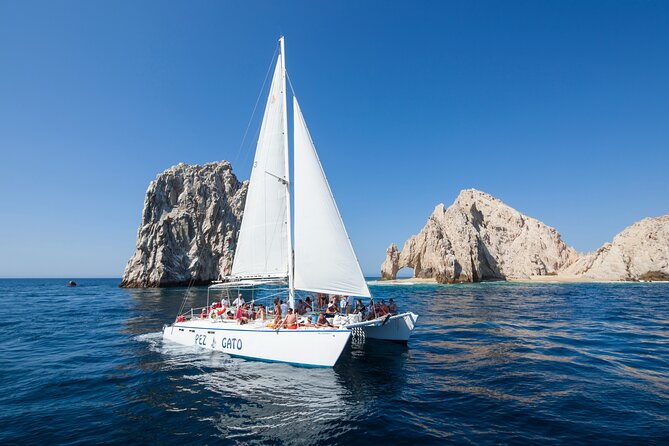 Whale Watching Amazing Adventure - Scenic Landmarks and Marine Views