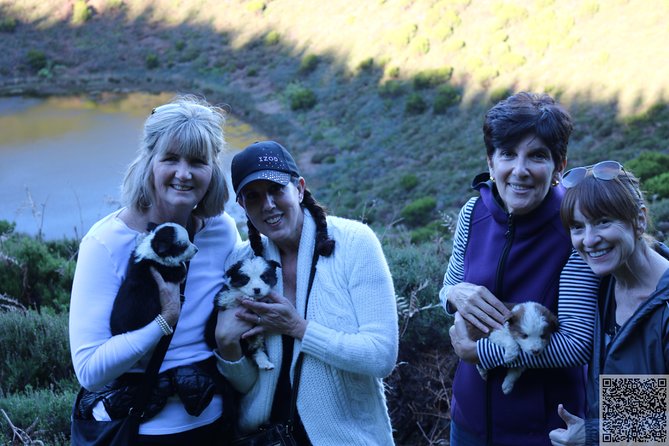 Whale Watching and Jeep Tour - Traditional Local Lunch and Refreshments