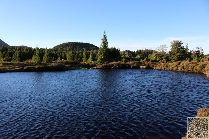Whale Watching and Jeep Tour - The Off-Road Experience and Unique Sites