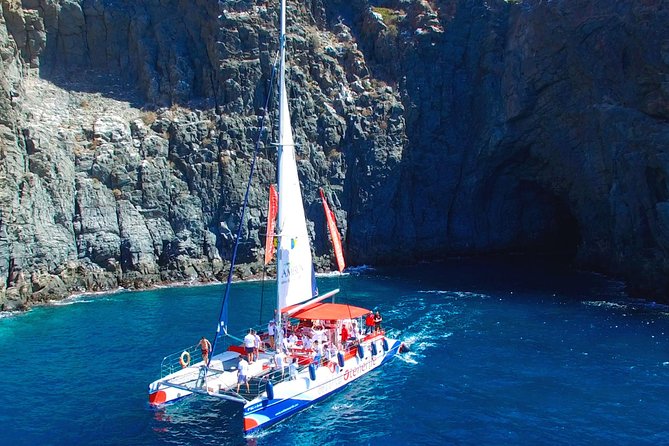 Whale Watching and Listening Eco Catamaran Tour with Food Tasting - Additional Activities: Snorkeling and Free Time