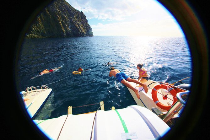 Whale watching and listening Eco-Catamaran Tour with Food Tasting - What Makes the Catamaran Special