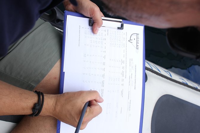 Whale Watching and Marine Science Tour - Wildlife Watching: Whales, Dolphins, and More