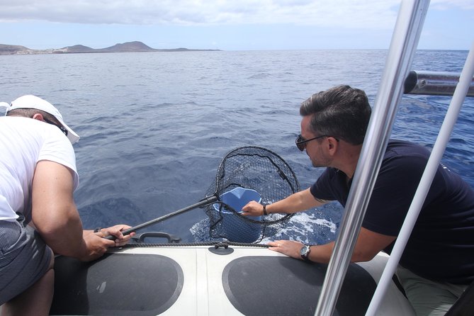 Whale Watching and Marine Science Tour - What Sets This Tour Apart from Others