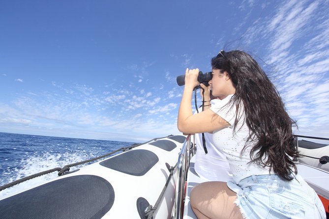 Whale Watching and Marine Science Tour - The Sum Up: An Educational and Wildlife Show in Tenerife