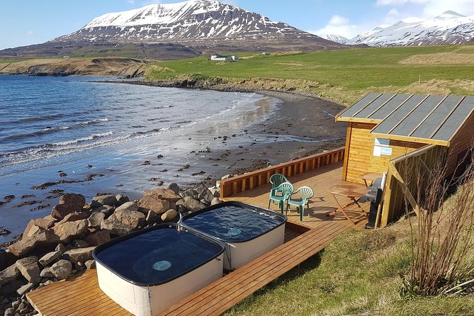 Whale Watching and Sea Angling Tour - Weather and Cancellation Policies