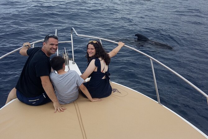 Whale watching and snorkelling in the whale sanctuary - Exploring the Marine Encounter at the Whale Sanctuary