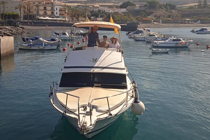 Whale watching and snorkelling in the whale sanctuary - Snorkeling at Agua Dulce Cove and Marine Scenery