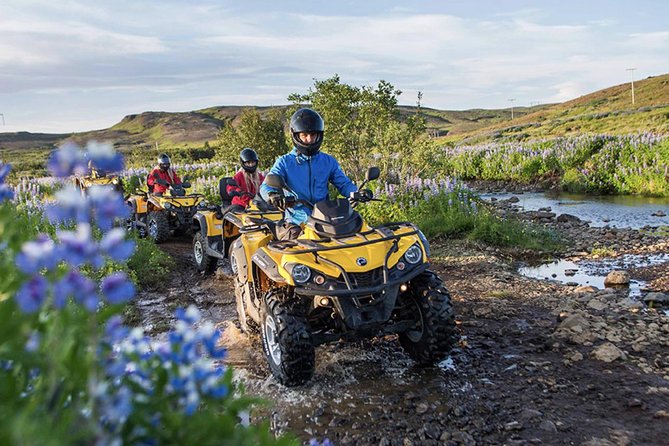 Whale Watching & ATV Adventure from Reykjavik - The Guides and Customer Service
