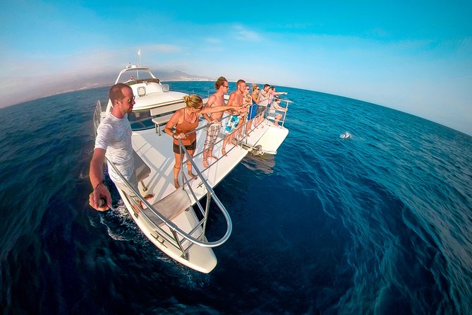 Whale Watching Catamaran Cruise with Transfer, Buffet by MC - Discover Tenerifes Marine Life on a Whale-Watching Catamaran with Buffet