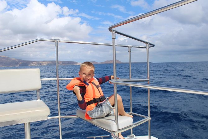 Whale Watching Catamaran Cruise with Transfer, Buffet by MC - The Catamaran: Design, Comfort, and Safety Features