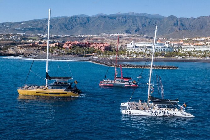Whale Watching Catamaran in Costa Adeje (Including drinks & Sandwich) - Comparing This Tour with Similar Options