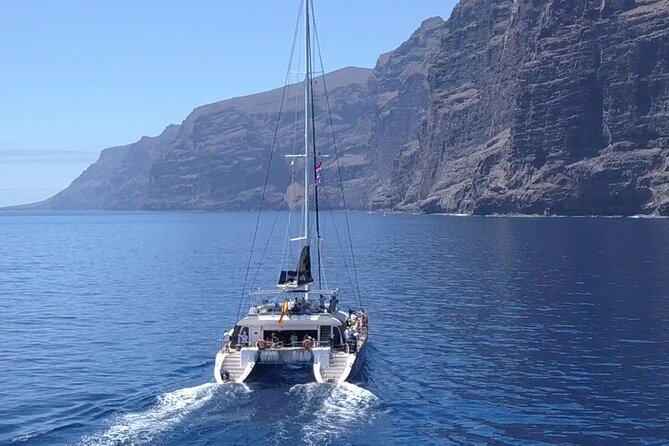 Whale Watching Catamaran to Los Gigantes & Masca (Including drinks & warm lunch) - Thrilling Marine Life Encounters and Stunning Coastal Views in Tenerife