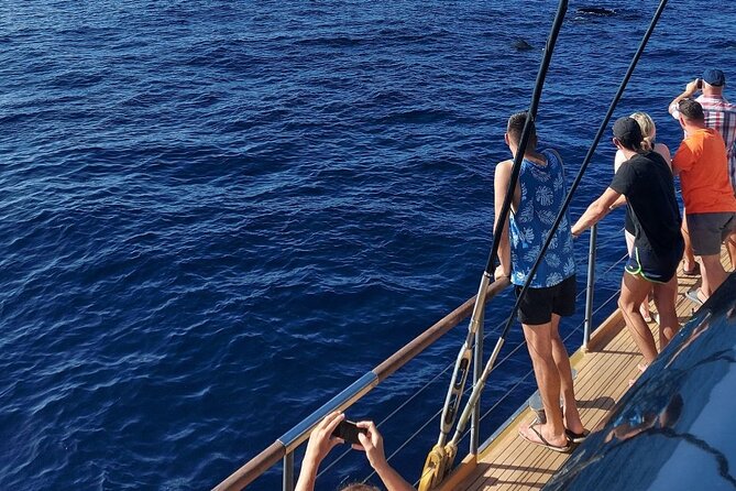 Whale Watching Catamaran to Los Gigantes & Masca (Including drinks & warm lunch) - The Crews Knowledge and Service Quality