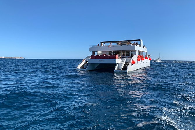 Whale Watching Cruise in Cabos San Lucas and Ground Transportation - Tequila Tasting onboard the Catamaran